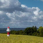 Pilgerwanderungen