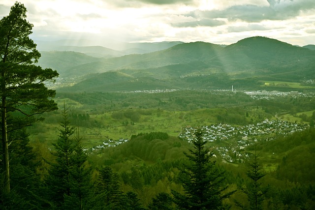 Schwarzwald