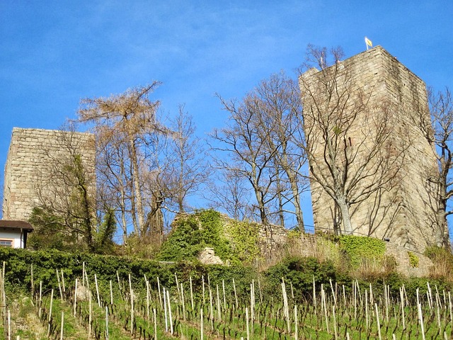 Burg Windeck Bühl